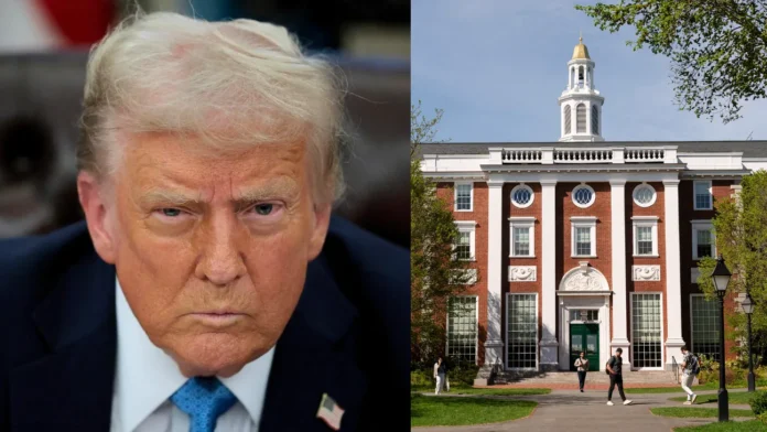 trump vs harvard