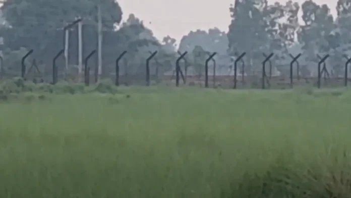 দিনাজপুর ও ঠাকুরগাঁও সীমান্ত দিয়ে আরও ২০ জনকে বাংলাদেশে পাঠালো বিএসএফ