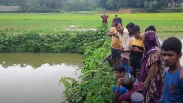 শেরপুরে পুকুর থেকে দুই শিশুর মরদেহ উদ্ধার