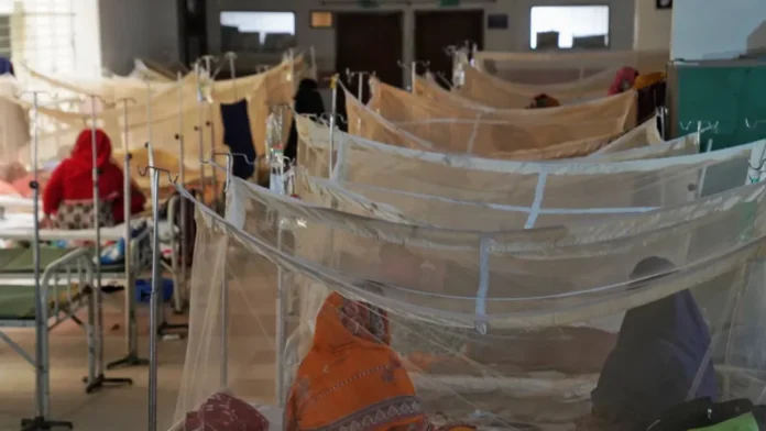 দেশজুড়ে নতুন করে ২০৪ ডেঙ্গু রোগী শনাক্ত দেশজুড়ে নতুন করে ২০৪ ডেঙ্গু রোগী শনাক্ত