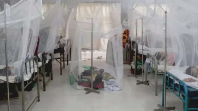 বাংলাদেশে ডেঙ্গুতে আরও ৩ জনের মৃত্যু, আক্রান্ত ৪০৯ জন বাংলাদেশে ডেঙ্গুতে আরও ৩ জনের মৃত্যু, আক্রান্ত ৪০৯ জন