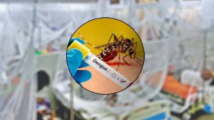 ২৪ ঘণ্টায় ডেঙ্গুতে দুইজনের মৃত্যু, এবছর মৃতের সংখ্যা ৭৮ ২৪ ঘণ্টায় ডেঙ্গুতে দুইজনের মৃত্যু, এবছর মৃতের সংখ্যা ৭৮