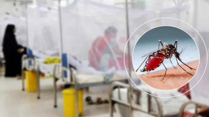 দেশে ডেঙ্গুতে আরও ৩ জনের মৃত্যু, মোট মৃতের সংখ্যা ৯৫ দেশে ডেঙ্গুতে আরও ৩ জনের মৃত্যু, মোট মৃতের সংখ্যা ৯৫