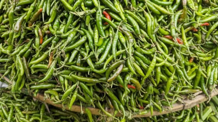 ঢাকায় কাঁচামরিচের দাম হঠাৎ বৃদ্ধি, বৃষ্টিপাতের কারণে সবজির দামও বেড়েছে