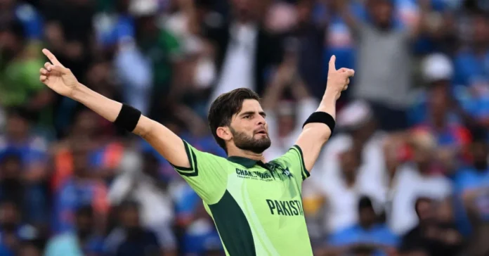 দক্ষিণ আফ্রিকার বিপক্ষে পাকিস্তানের নতুন ওয়ানডে অধিনায়ক শাহিন শাহ আফ্রিদি দক্ষিণ আফ্রিকার বিপক্ষে পাকিস্তানের নতুন ওয়ানডে অধিনায়ক শাহিন শাহ আফ্রিদি
