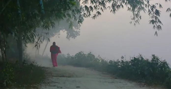 রাজশাহীতে ঘন কুয়াশা: শীতের আগমনী বার্তায় কমছে তাপমাত্রা