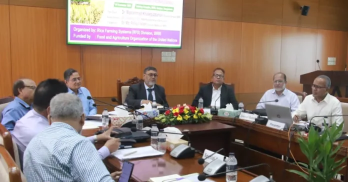 বিআরআরআইতে এফএও অর্থায়িত কর্মশালা, সরিষা বোরো টি আমন ফসলধারার উৎপাদনশীলতা বাড়াতে আলোচনায় বিশেষজ্ঞরা