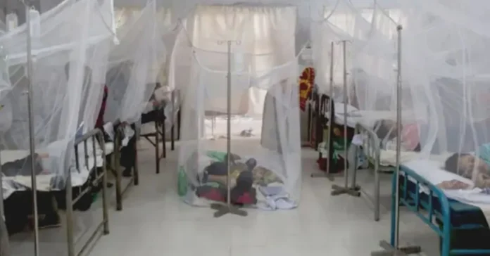 ডেঙ্গু পরিস্থিতি: ২৪ ঘণ্টায় ৫ মৃত্যু, চলতি বছরে মোট মৃতের সংখ্যা ৩০৭