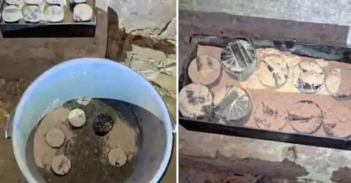 জেনেভা ক্যাম্পে ককটেল কারখানা: ছাদে মিলল বিপুল বিস্ফোরক ও সরঞ্জাম