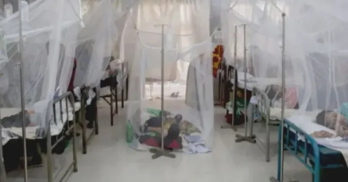 ডেঙ্গুতে ২০২৫ সালে মৃত্যু ৩৪৩, ২৪ ঘণ্টায় আরও ৪ জনের মৃত্যু