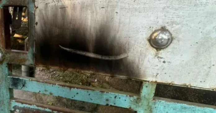 ময়মনসিংহে ডাকসু সদস্য রাফিয়ার বাড়িতে ককটেল নিক্ষেপের চেষ্টা, বিস্ফোরক আইনে মামলা